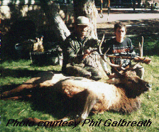 Photo courtesy Phil Galbreath, Timberline Taxidermy