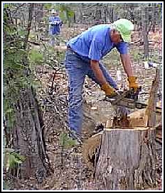 Cutting wood!