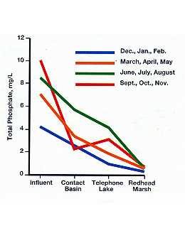 Total Phosphates