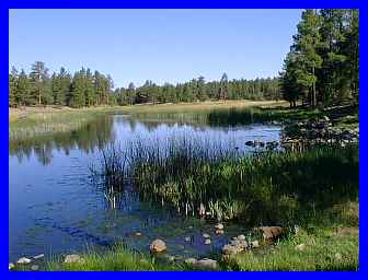 Big Springs Environmental Study Area