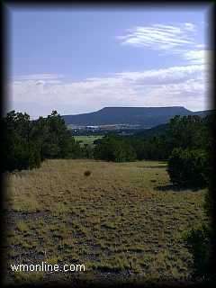 View of Volcanic Fields