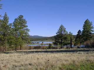 The Greer Lakes