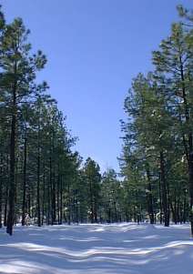 Overgaard area in winter.