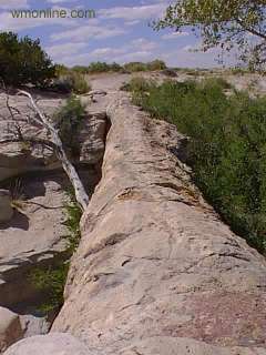 Petrified Forest