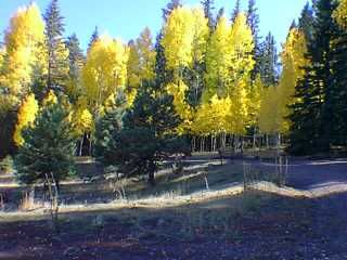 Spectacular fall color