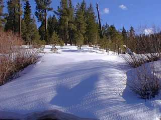 Navajo County Snow