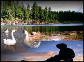 Fishing fun in Arizona's White Mountains!