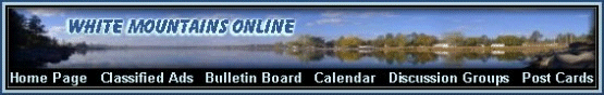 White Mountains Online