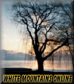 White Mountains Online